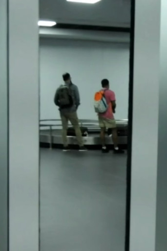 A Chegada de Avelino