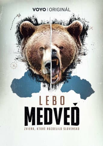 Lebo medveď