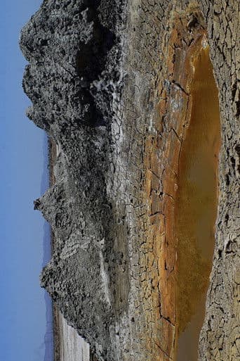 The Deep West Assembly