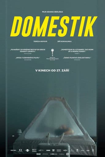 Domestik