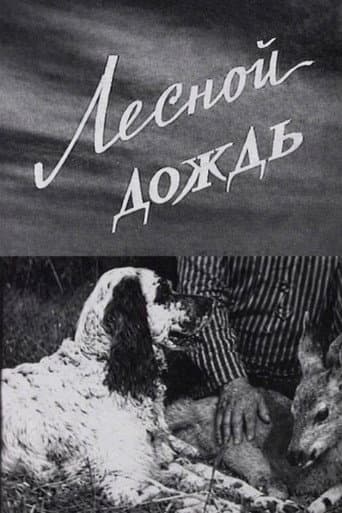 Лесной дождь