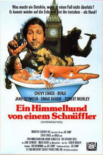 Ein Himmelhund von einem Schnüffler