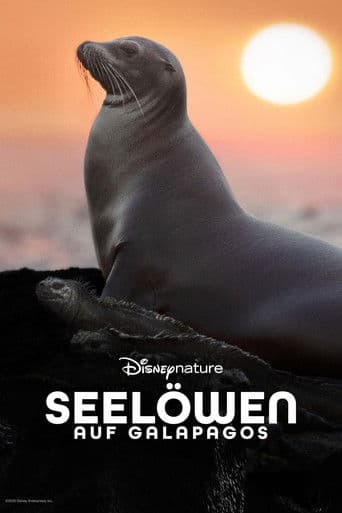 Seelöwen auf Galapagos