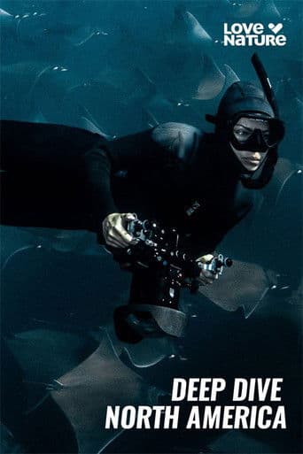 Deep Dive North America