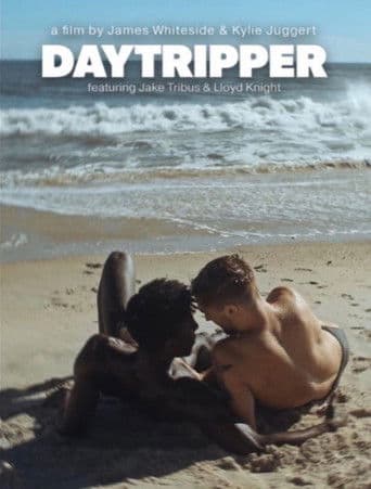 Daytripper
