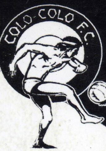 Colo-Colo Un Objeto de Deseo