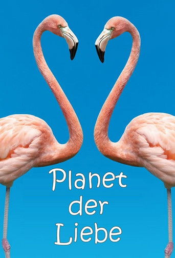Planet der Liebe