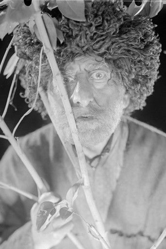 แแ แจแแฃแแ