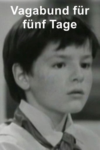 Vagabund für fünf Tage