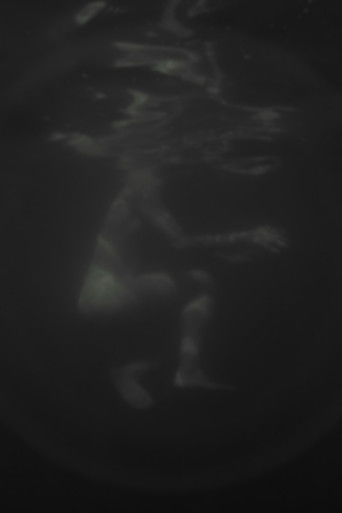 Hazug disznók az álmok is