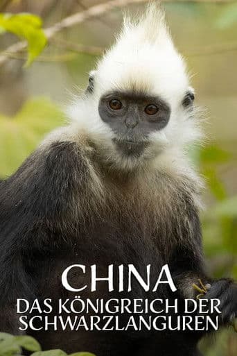 China's Secret Monkey Kingdom