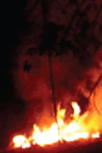 Todo flamboyán es una isla en llamas