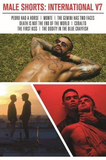 Male Shorts: International V7