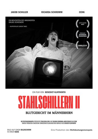Stahlschillern II - Blutgericht im Männerhirn