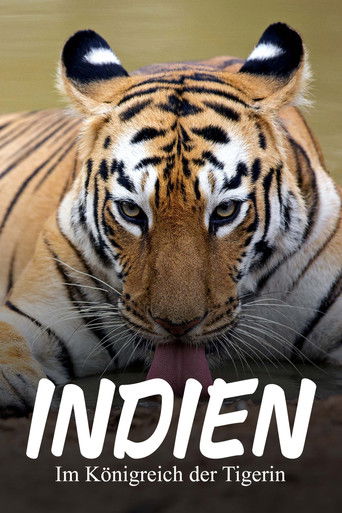 Maya, la tigresse du Maharashtra