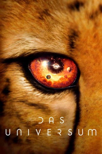 Das Universum