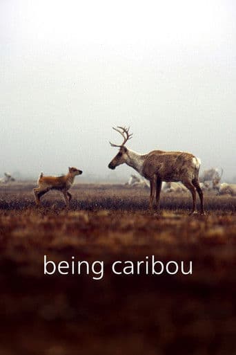 Being Caribou