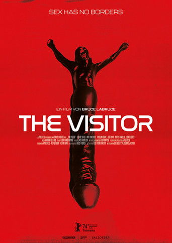 The Visitor