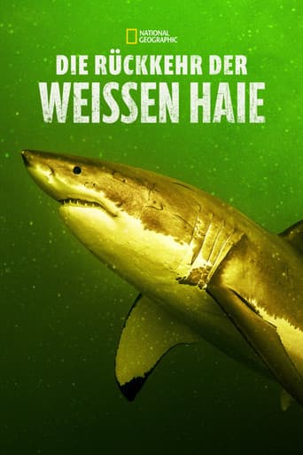 Die Rückkehr der Weißen Haie