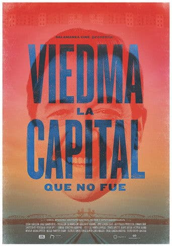 Viedma, la capital que no fue