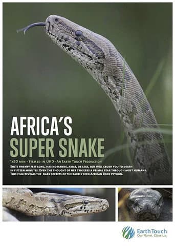 Afrikas Superpython