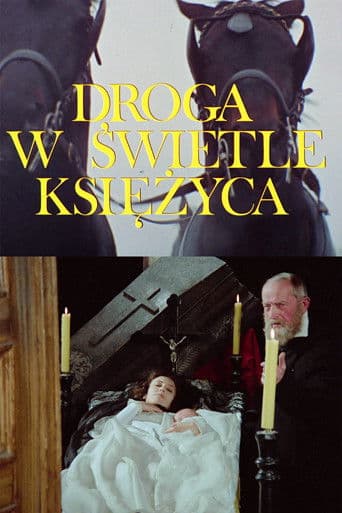 Droga w świetle księżyca