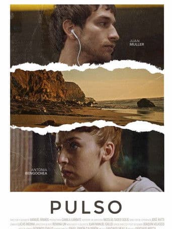 Pulso