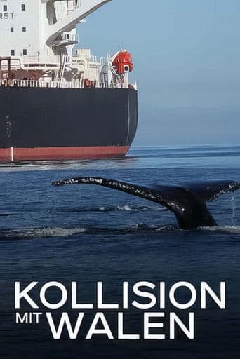 Kollision mit Walen - Der tödliche Schiffsverkehr