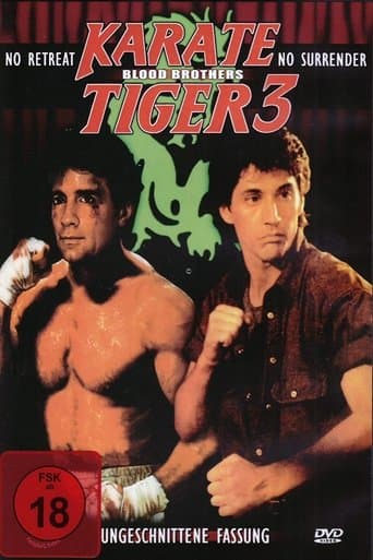 Karate Tiger 3 - BlutsbrĂŒder