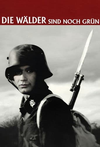 Die Wälder sind noch grün