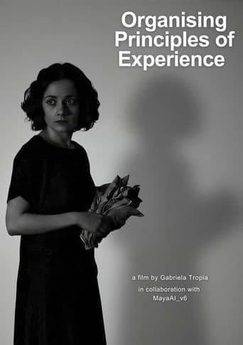 Organising Principles of Experience