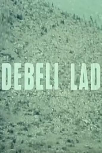 Debeli lad