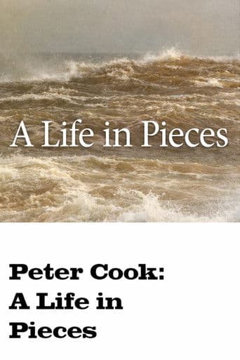 A Life in Pieces