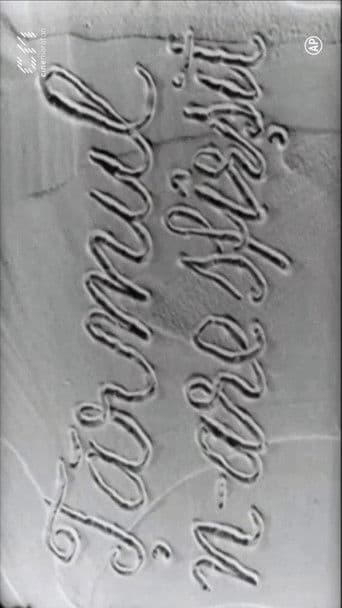 Țărmul n-are sfârșit