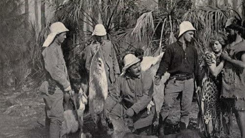 Back to the Primitive Bild 1