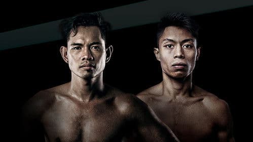 Nonito Donaire vs. Reymart Gaballo Bild 1