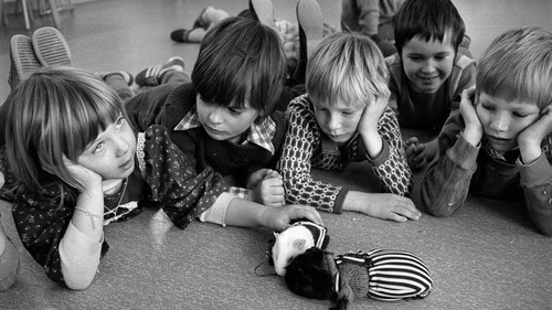 Mit mir will niemand spielen Bild 1