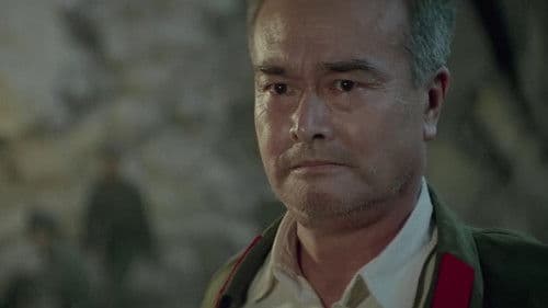 高山下的花环 Bild 7