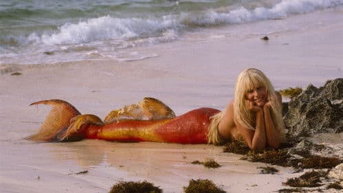 Splash - Eine Jungfrau am Haken Bild 4