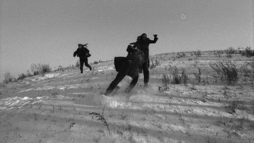 Здорово и вечно Bild 1