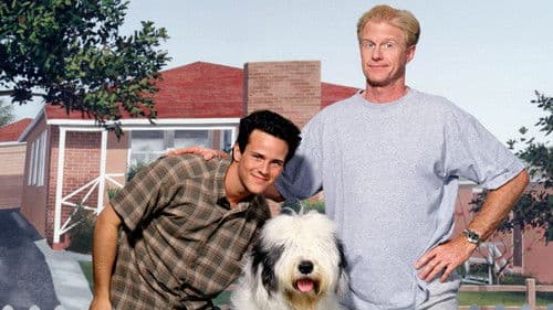 Bundles - Ein Hund zum Verlieben Bild 1