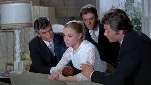 Las 4 bodas de Marisol Bild 2