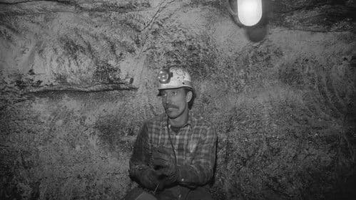 Hearts of Hope Bild 1