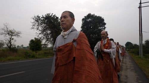 세계를 뒤흔든 43일 Bild 1