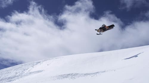 509 Films: Volume 8 Bild 1