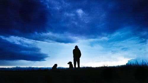 The Thick Dark Fog Bild 1