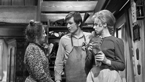 Jak se stal hastrman v Rokytnici ševcem Bild 2