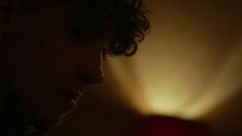 La terra dell'abbastanza Bild 6