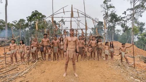 Die Stimme des Regenwaldes Bild 3