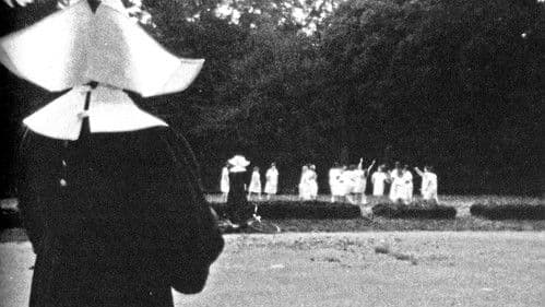 Die blinde Eule Bild 1